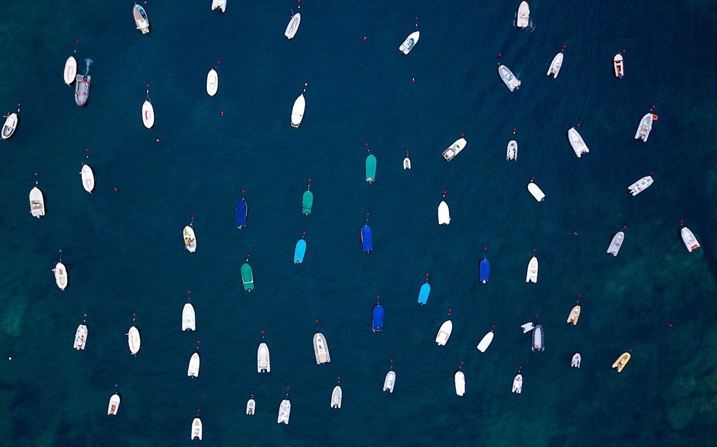 Turning Enthusiastic Followers Into Loyal Customers